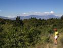 IMG_1337 copy